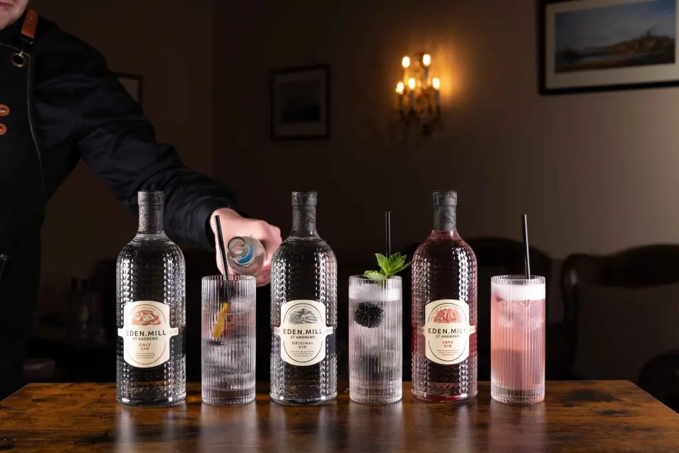 Experiencia de cata de ginebra con un servicio perfecto