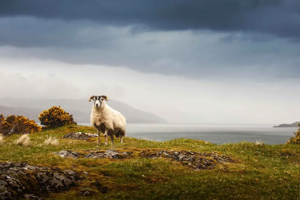 Iona, Mull y la Isla de Skye: Excursión de 5 días desde Edimburgo