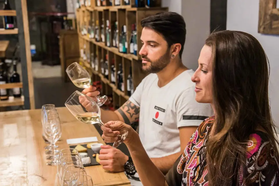 Cata de Vinos de Barcelona: Vinos catalanes y españoles