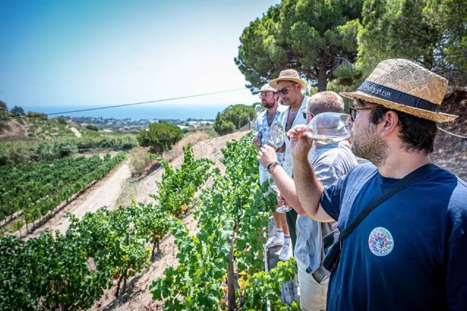 Desde Barcelona: Excursión en Catamarán y Visita a Bodegas con Degustación