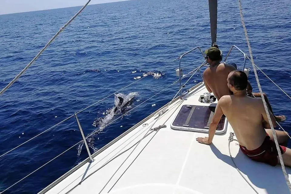 Barcelona: Excursión en velero con bebidas y aperitivos