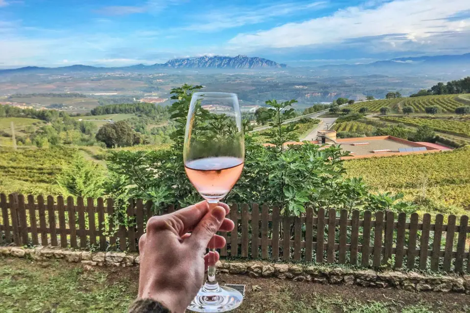 Desde Barcelona: Montserrat Almuerzo y Cata de Vinos en Viñedo
