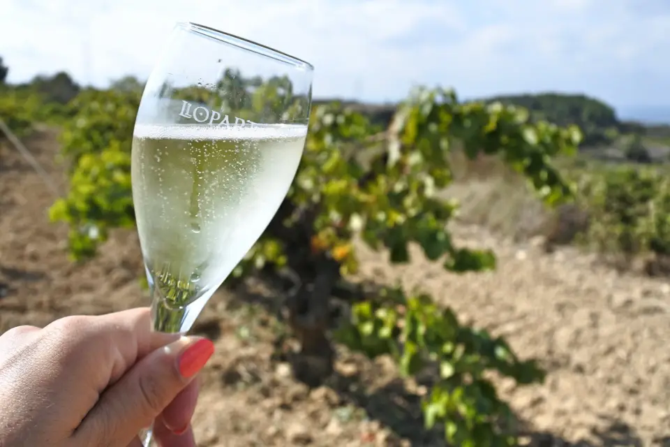 Tour de bodegas por el Penedés