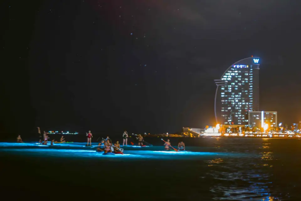 tabla de paddle surf de noche con luz y bebida -FIREFLY