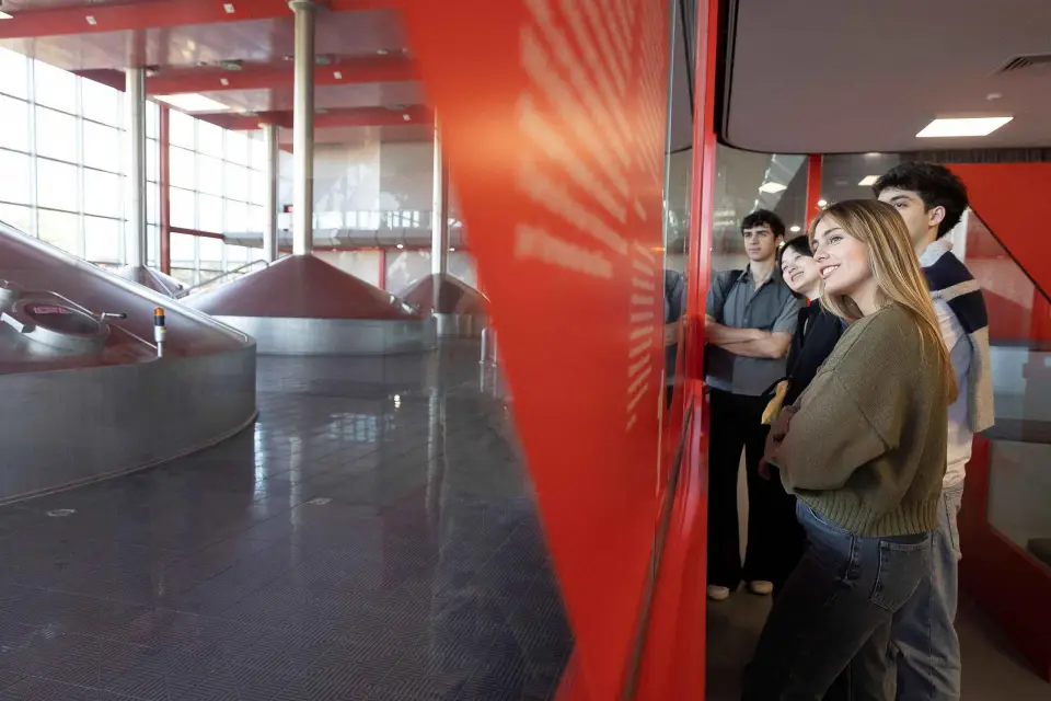 Barcelona: tour guiado de la fábrica de Estrella Damm y cata