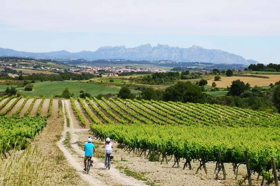 Barcelona: Tour guiado de medio día en bicicleta eléctrica y vino