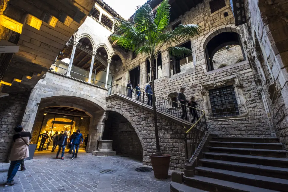 Visita guiada por el Museo Picasso