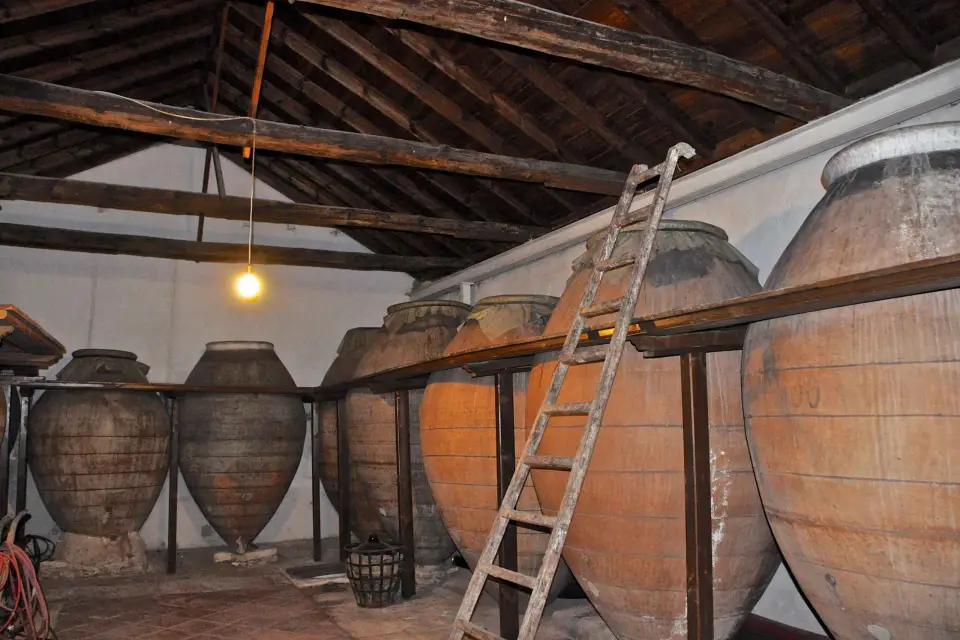 Bodegas de Madrid: tour guiado y catas
