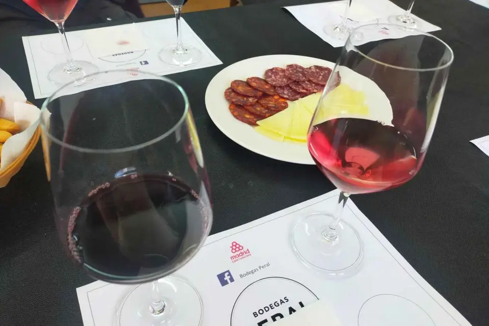Cata de vinos y gastronomía en Madrid: tour
