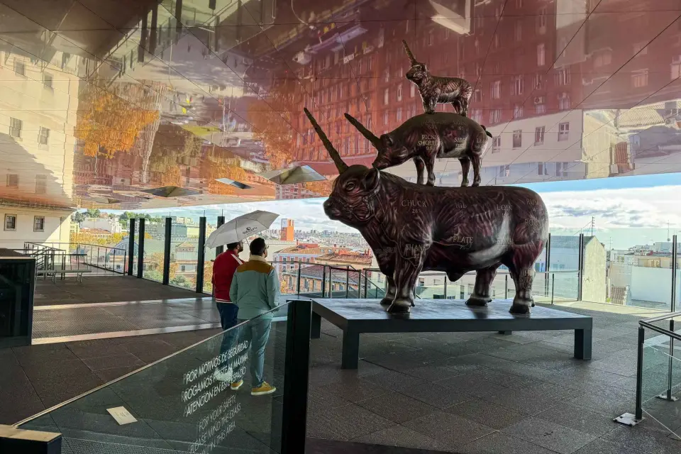 Madrid Cultural: Museo Reina Sofía y tour a pie