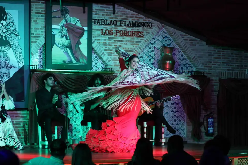 Madrid: Espectáculo flamenco Los Porches con tapas y entrada de vino