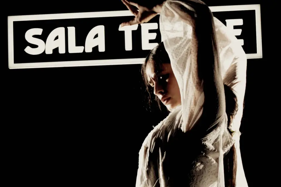 Madrid: Espectáculo Flamenco en el Tablao Sala Temple con Bebida