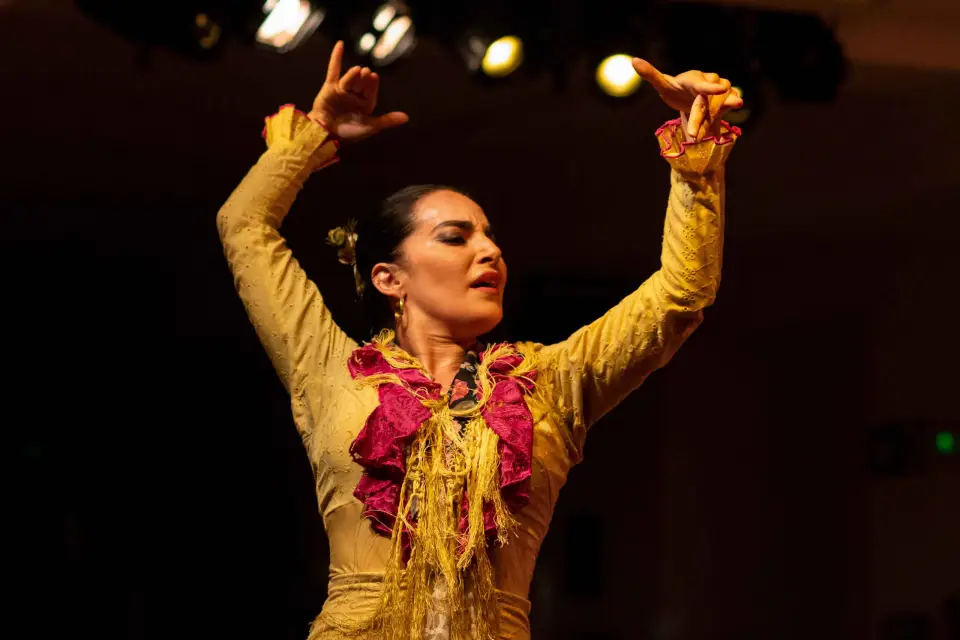 Madrid: Espectáculo Flamenco Tablao de La Villa