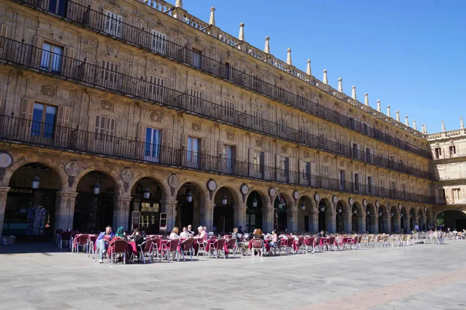 Desde Madrid: Excursión de un día a Salamanca con Tour Privado