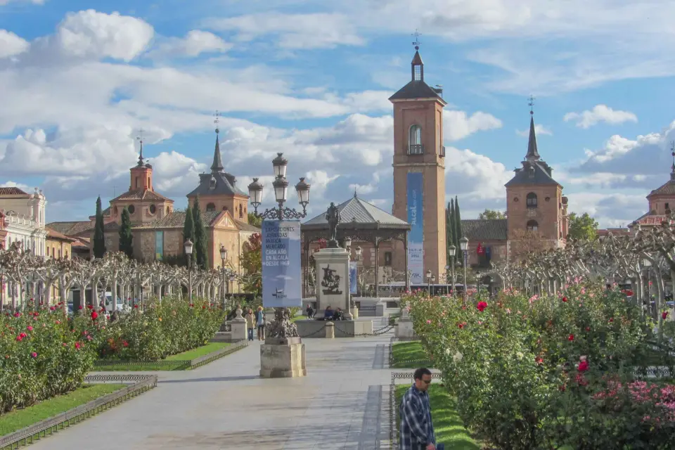 Desde Madrid: Excursión Privada de un Día a Alcalá de Henares