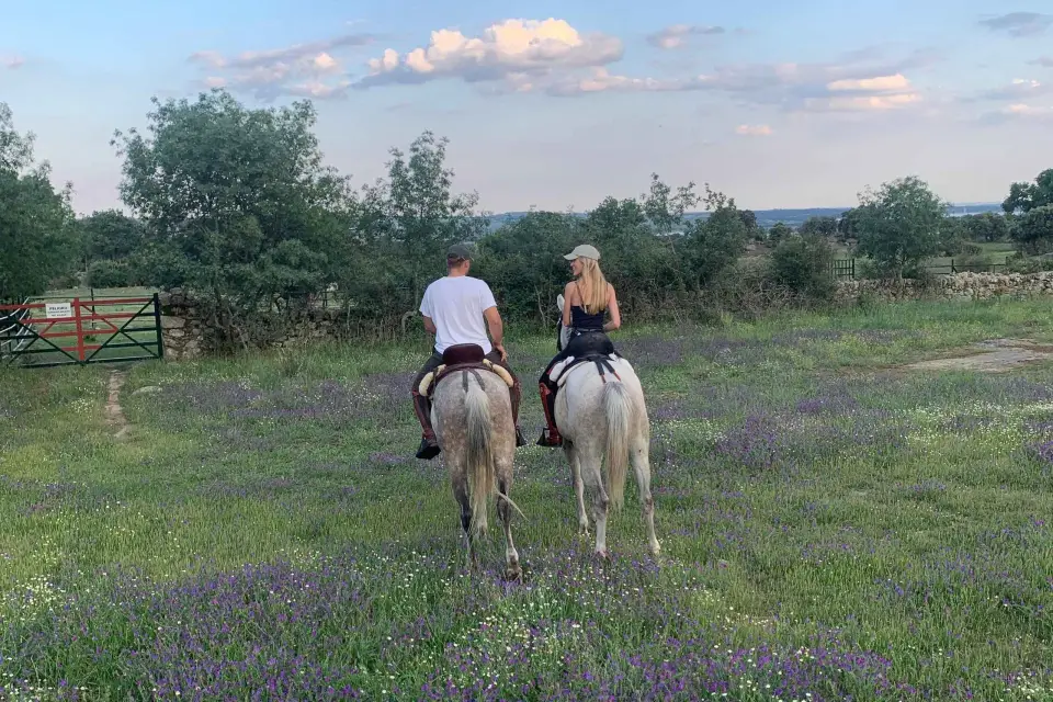 Desde Madrid: Experiencia a caballo