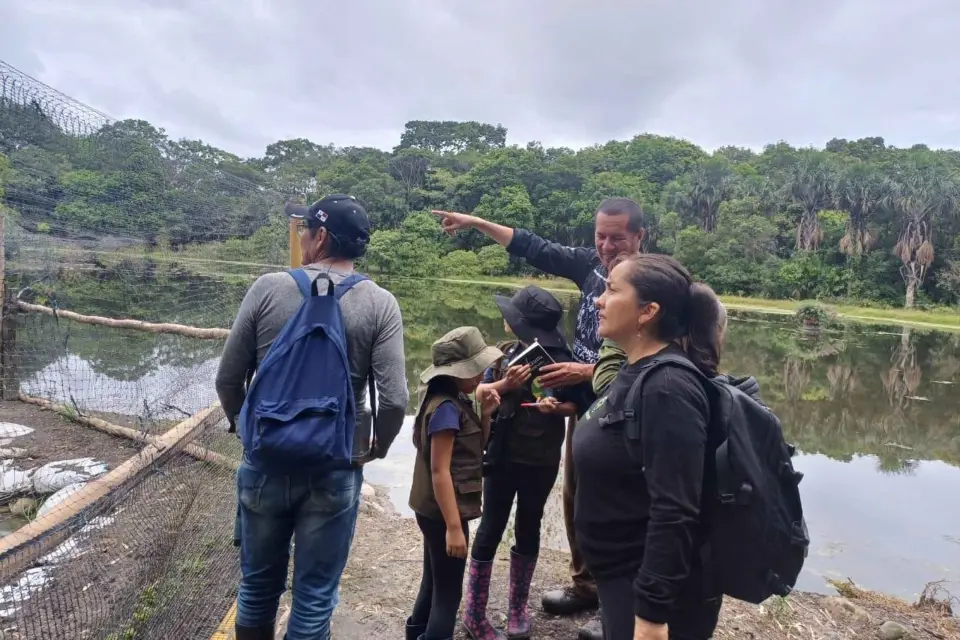 Observación de aves en Acacías Meta