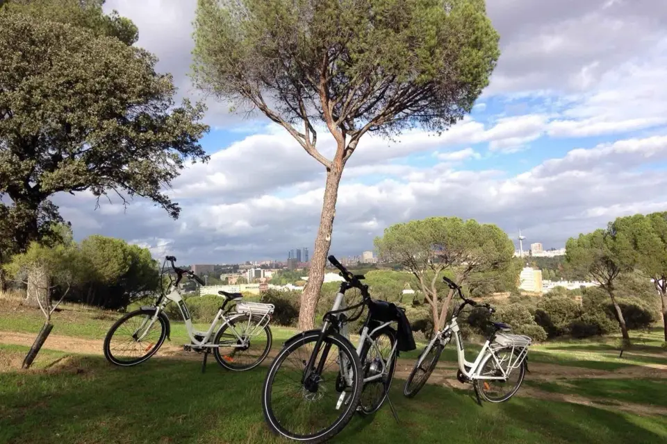 Paseo en Bici Eléctrica por la Ribera y la Casa de Campo de Madrid