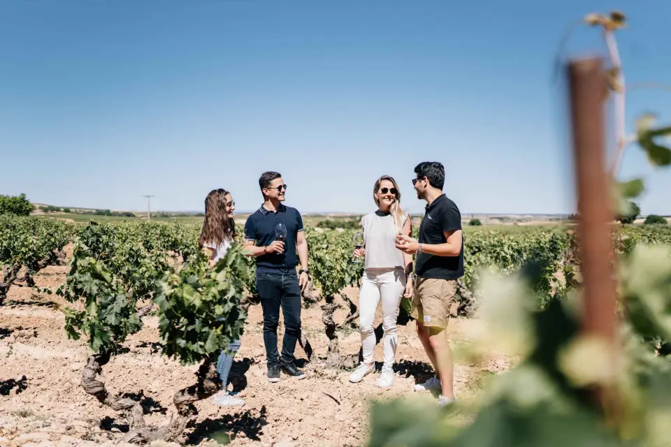 Desde Madrid: Pueblos Tradicionales, Visita a Bodegas y Almuerzo de Tapas