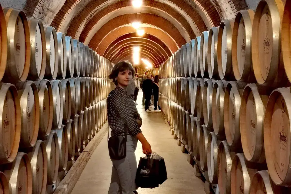 Ribera del Duero tour privado