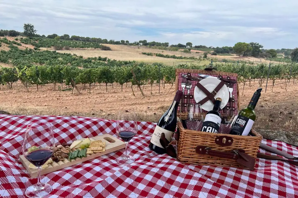 Madrid: Ruta de los Vinos Tintos y Blancos de Ribera del Duero y Rueda