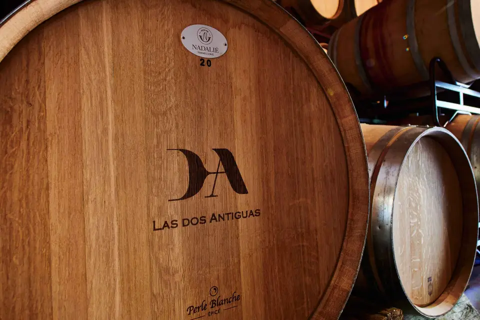 Segovia: Visita a Bodegas con Cata de Vinos