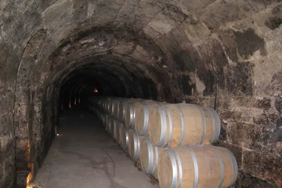 Desde Madrid: tour de 3 bodegas en la Ribera del Duero