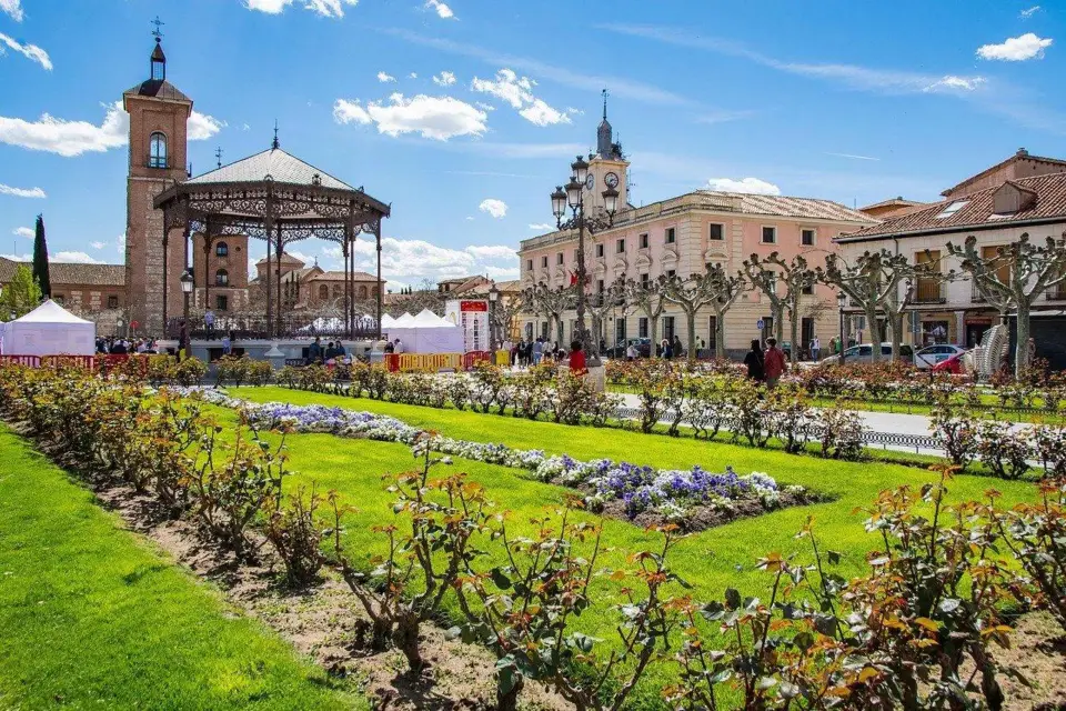 Madrid: Tour de medio día por Alcalá de Henares