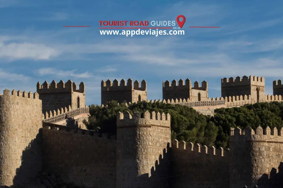 Desde Madrid: Tour Privado Ávila con Toros, Abejas y Castillos
