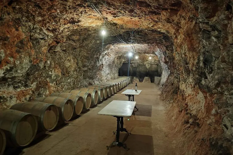Madrid: Visita a bodega con cata + almuerzo