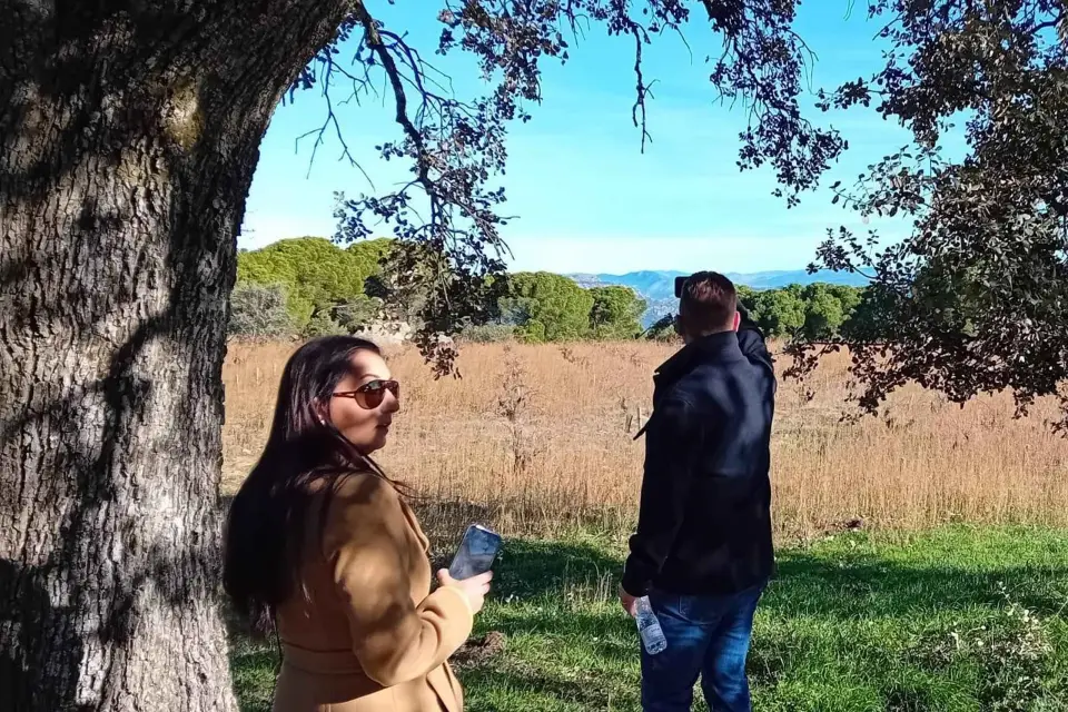Visita a una bodega cercana a la ciudad de Madrid con degustación completa