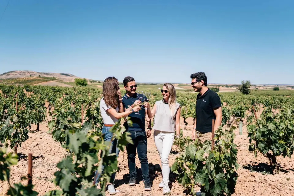 Desde Madrid: Visita a Bodegas Ribera del Duero y Segovia