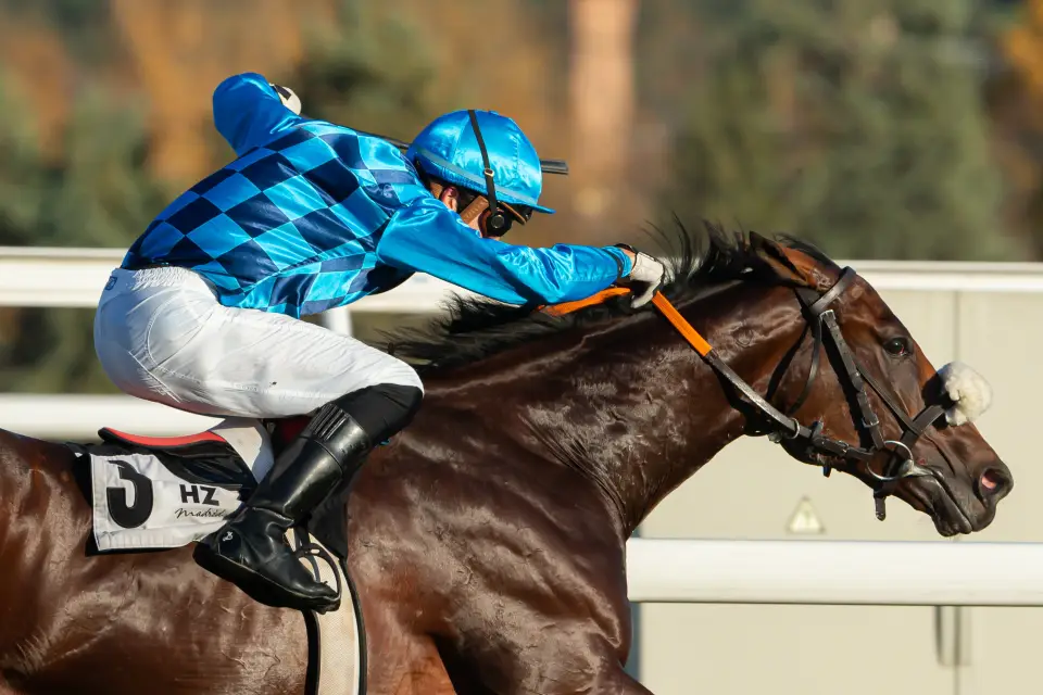 Visita guiada por el hipódromo de la Zarzuela