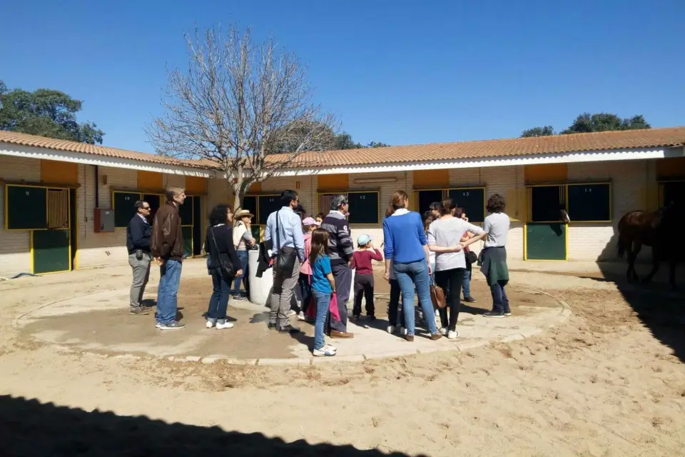 Madrid: Visita guiada al Hipódromo de la Zarzuela