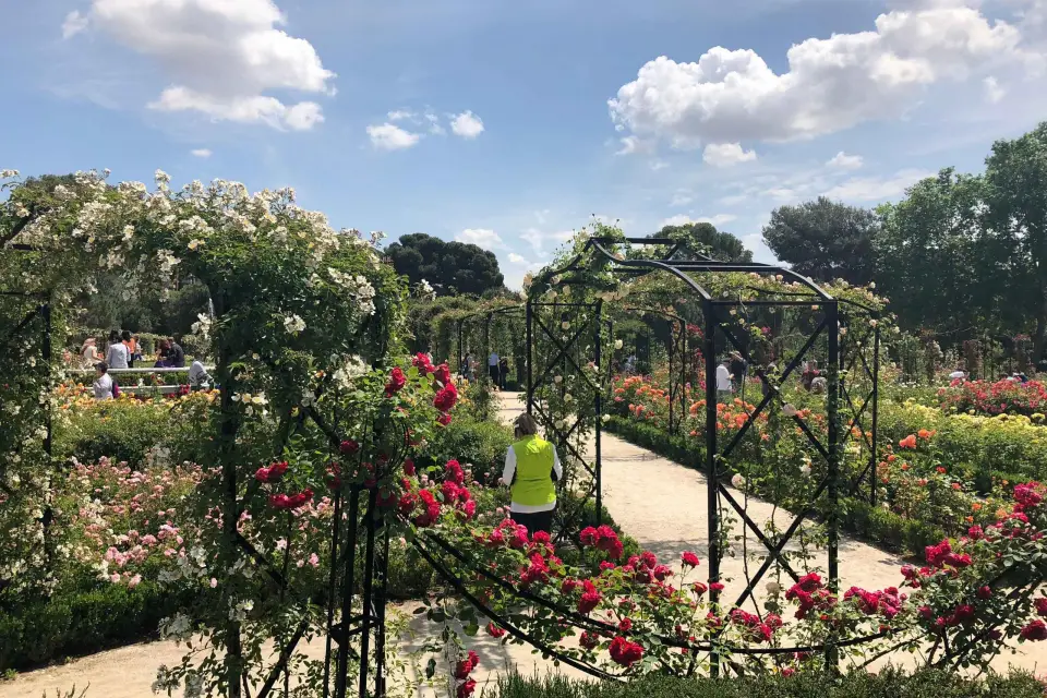 Madrid: Visita guiada a pie por la avenida del Prado y el parque del Retiro