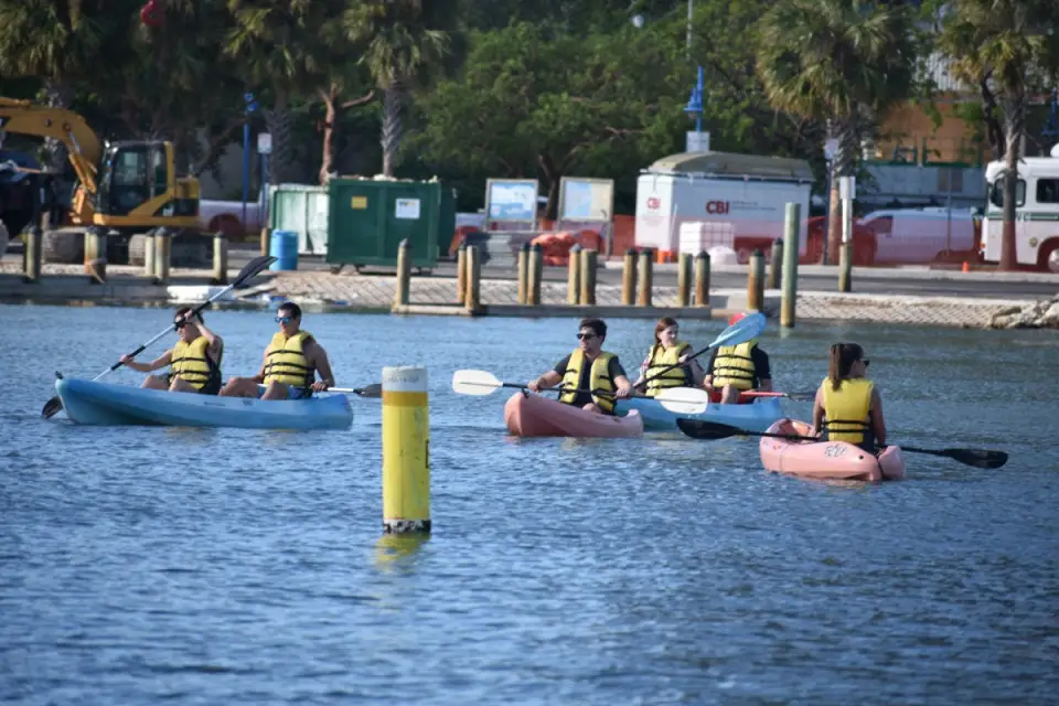 Alquiler de paddle surf o kayak en Miami