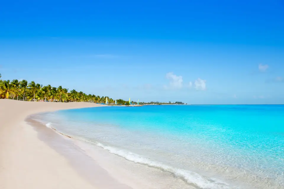 Excursión privada a Cayo Hueso