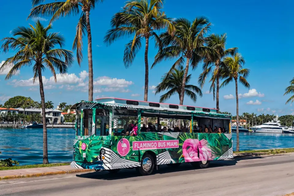 Flamingo Bus Miami
