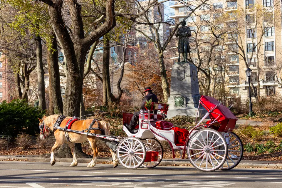 Paseo en calesa por Central Park