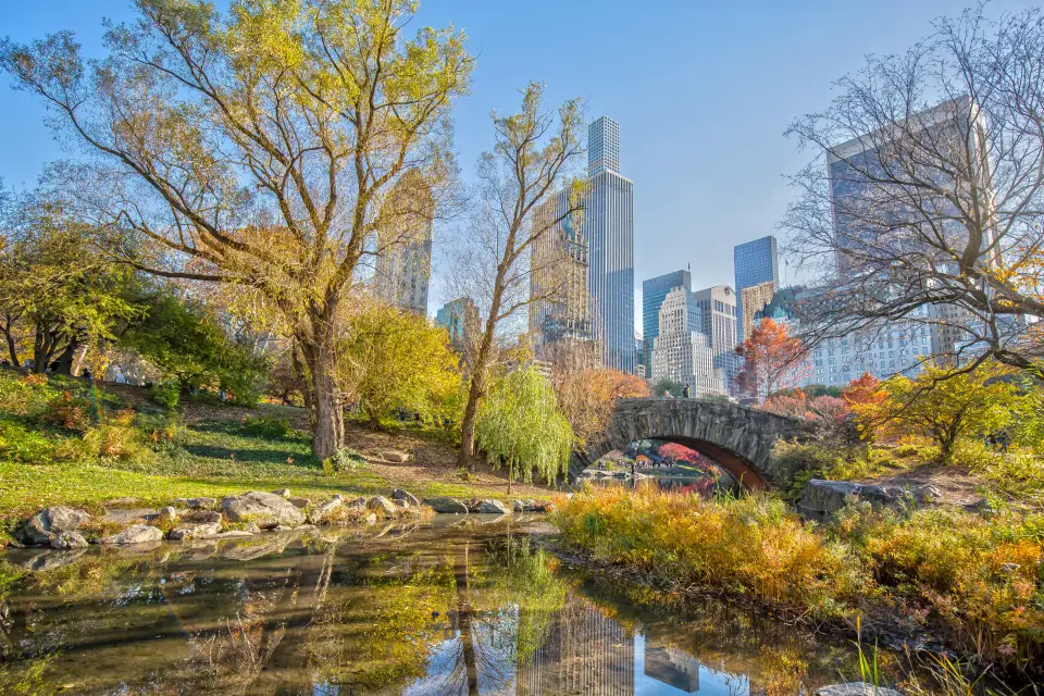 Visita guiada por Central Park