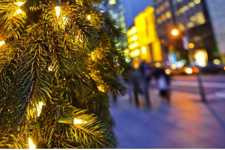 Árboles festivos y golosinas gatean en Nueva York