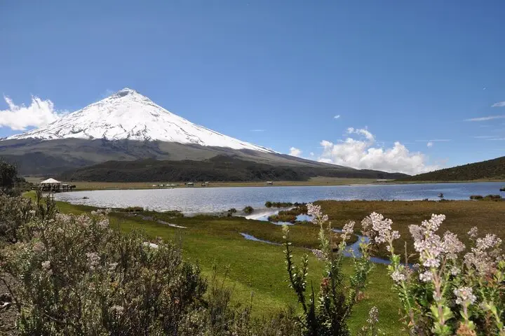 Aventura Andina : Cabalgata y Refugio del Cotopaxi