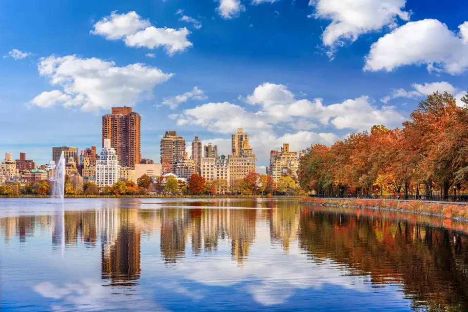 Central Park NYC: Primer Paseo de Descubrimiento y Lectura