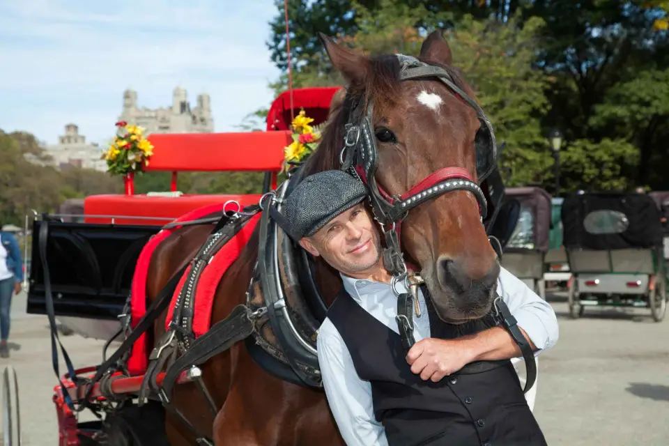 Central Park: Paseo corto en coche de caballos (hasta 4 adultos)