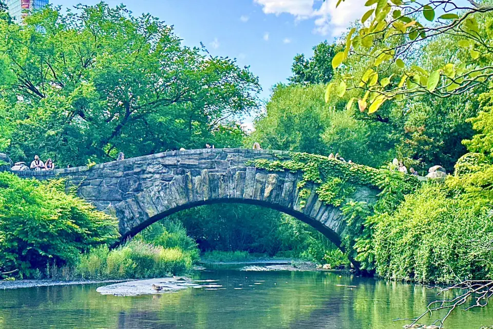 Ciudad de Nueva York: Solo en casa 2 y visita a Elfos en Central Park