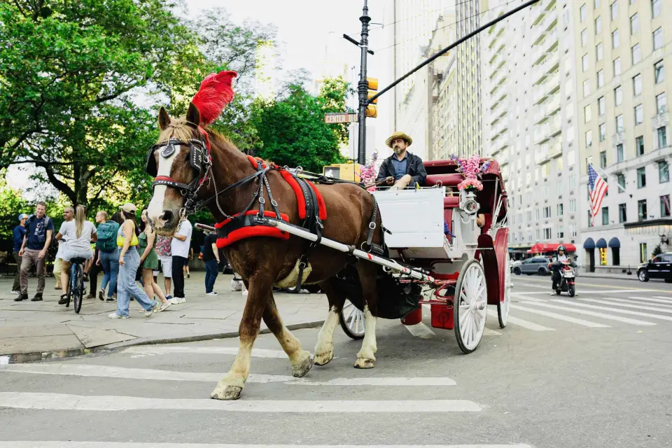 Ciudad de Nueva York: Paseo privado en coche de caballos por Central Park