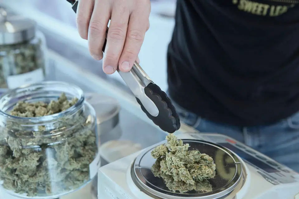 Ciudad de Nueva York: Tour de la Cultura del Cannabis