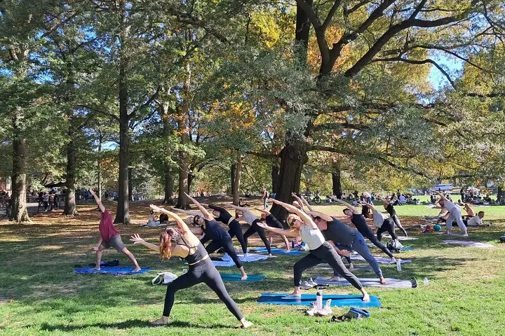 Clase de yoga grupal de 1 hora en Central Park