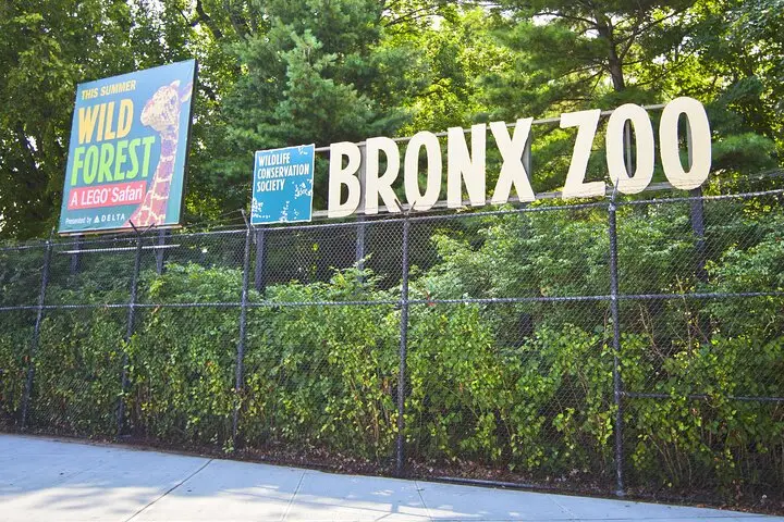 Entradas sin colas al zoológico del Bronx con traslado privado