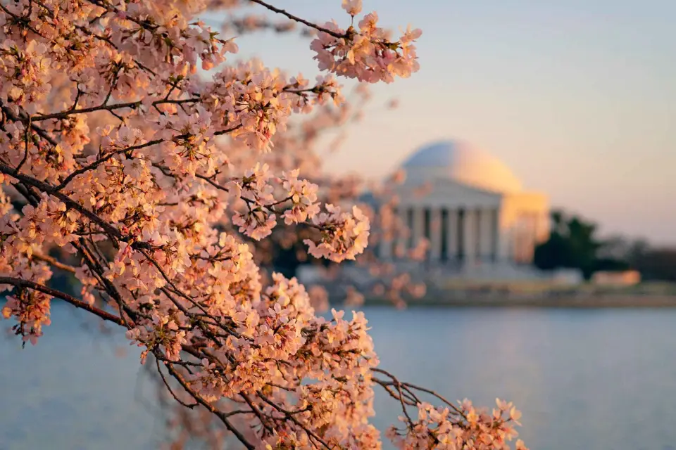 Desde Boston: Excursión de 4 días a Nueva York, D.C. y Cataratas del Niágara